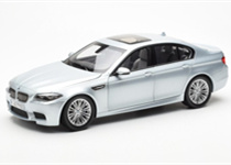 Für BMW M5 (F10) (2011-2016) Für BMW M5 (F10) (2011-2016)