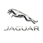Jaguar Jaguar