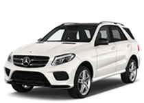 Für Mercedes GLE W166 (2015-2019)