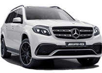 Für Mercedes GLS X166 (2015-2019) Für Mercedes GLS X166 (2015-2019)