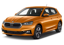 Für Skoda Fabia III (NJ) (2014–2022) Für Skoda Fabia III (NJ) (2014–2022)